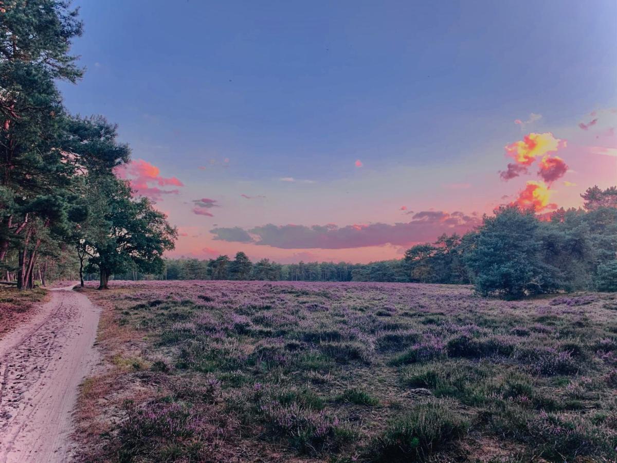 Sluwe Vos: Ontspannen In Het Bos! Otterlo Εξωτερικό φωτογραφία