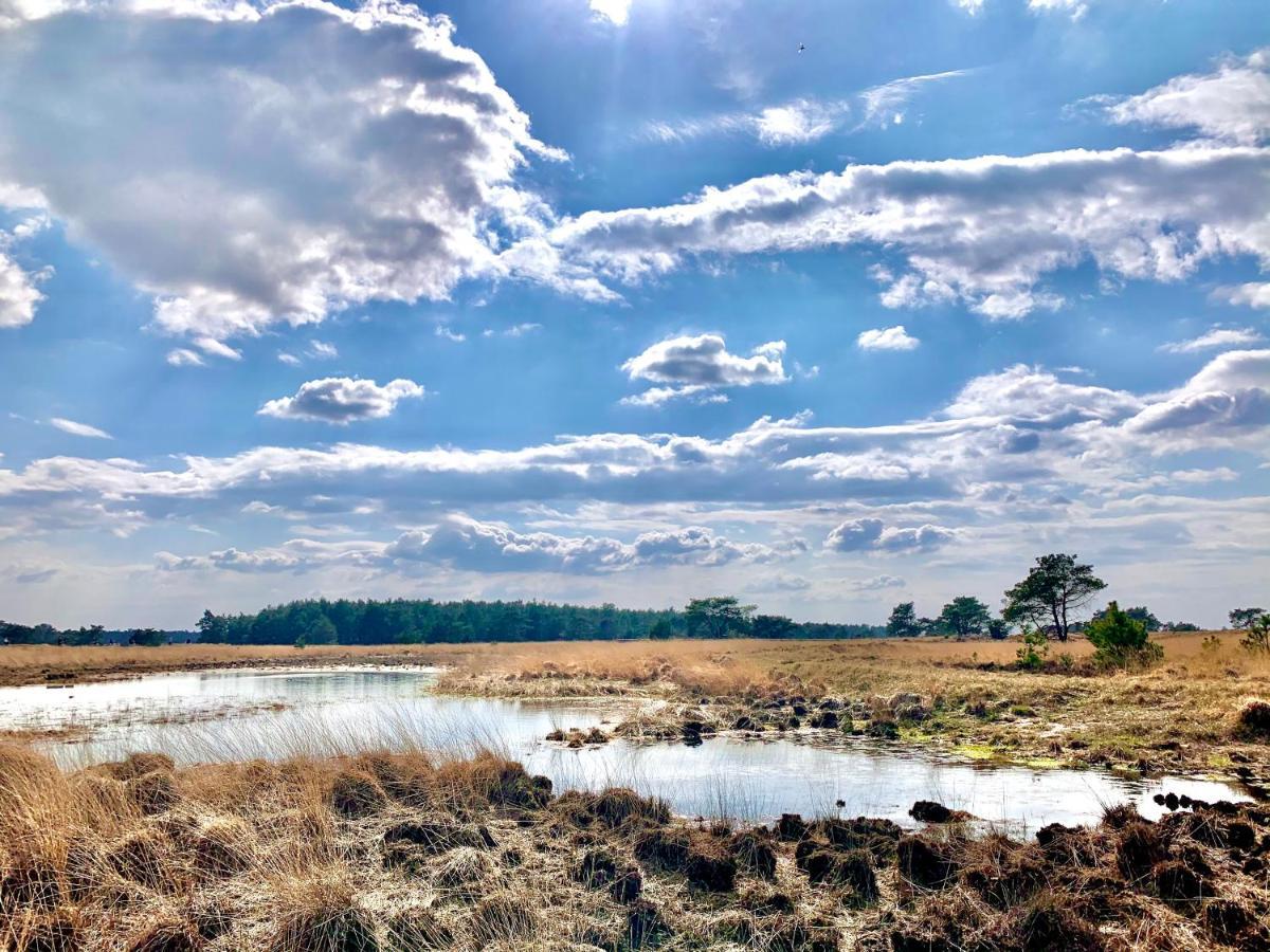 Sluwe Vos: Ontspannen In Het Bos! Otterlo Εξωτερικό φωτογραφία